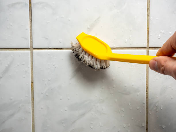 Office Mold Removal Services in Luxora, AR