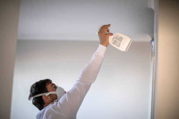 Best Attic Mold Removal  in Luxora, AR