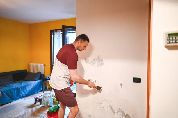 Best Local Mold Removal Service  in Luxora, AR